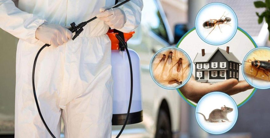 Akkuş Böcek İlaçlama