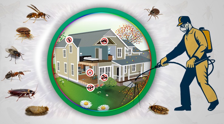 Akkuş Böcek İlaçlama