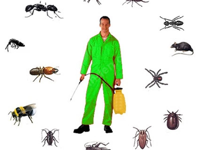 Akkuş Böcek İlaçlama